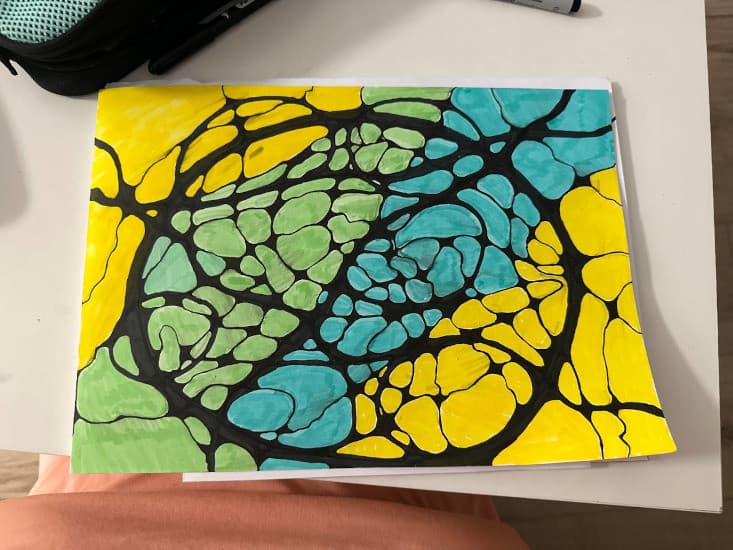 "Healing Across the Lines: Neurographics in Shelter."