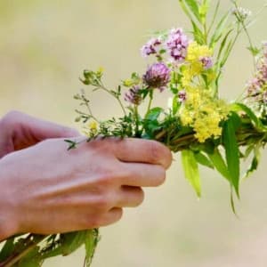 “SVAE”: Magic of Kupalle: Belarusian festival unites tradition and modernity